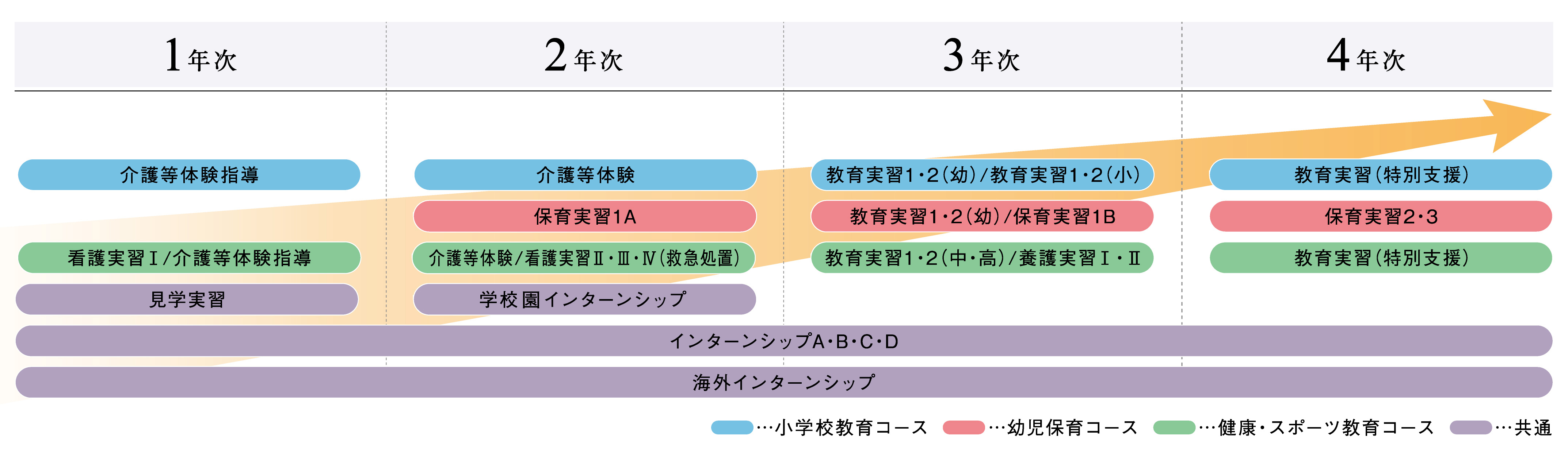 現場体験4年間のステップ
