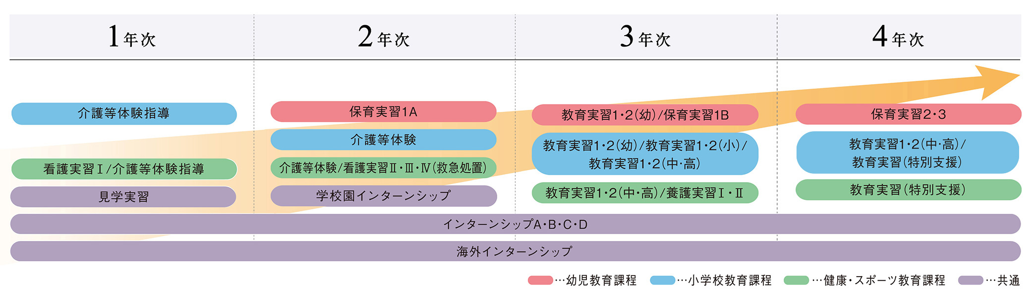 現場体験4年間のステップ